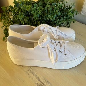 Steve Madden Elore White canvas Platform sneaker Sz 8.5